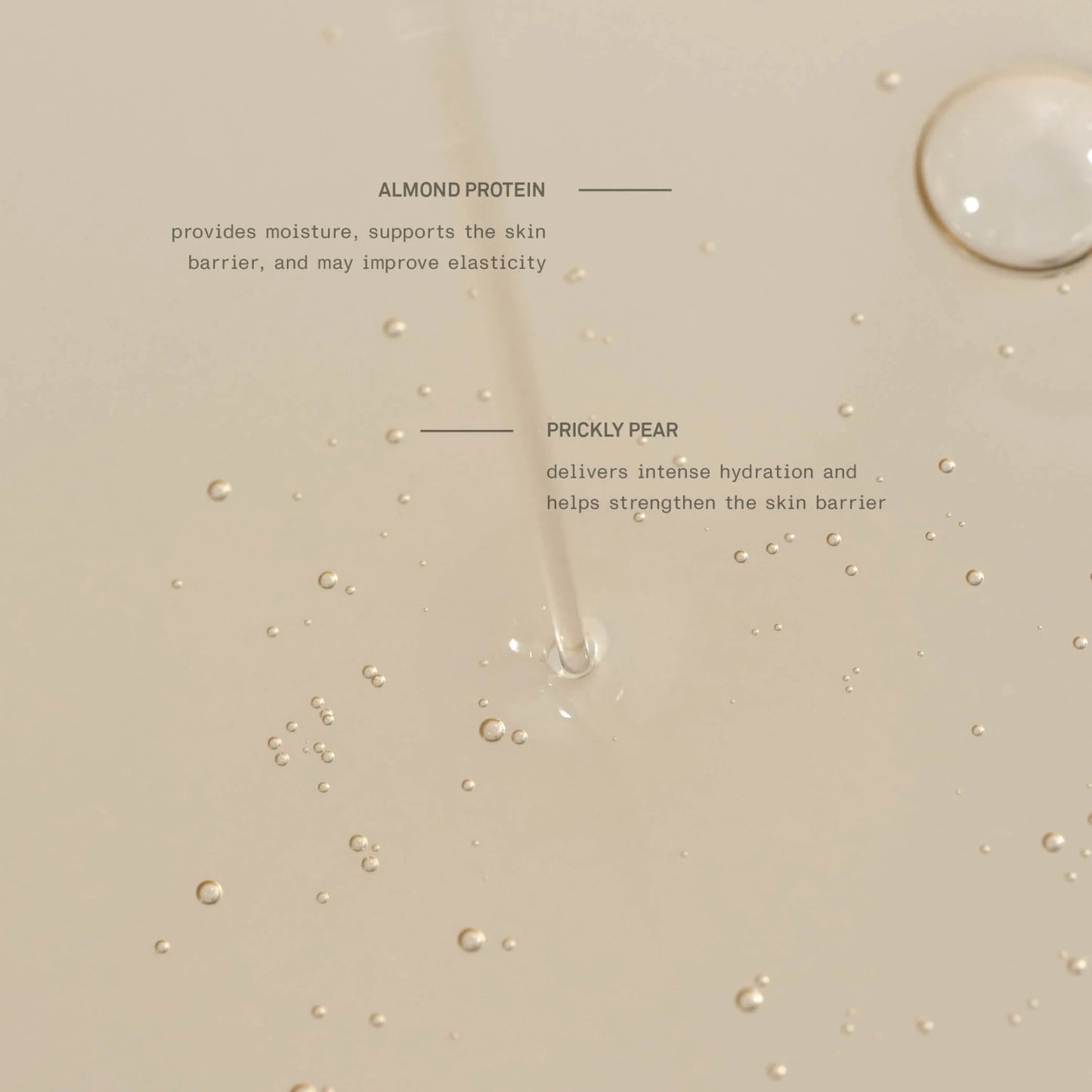 Team Dr. Joseph Restorative Hand + Nail Serum